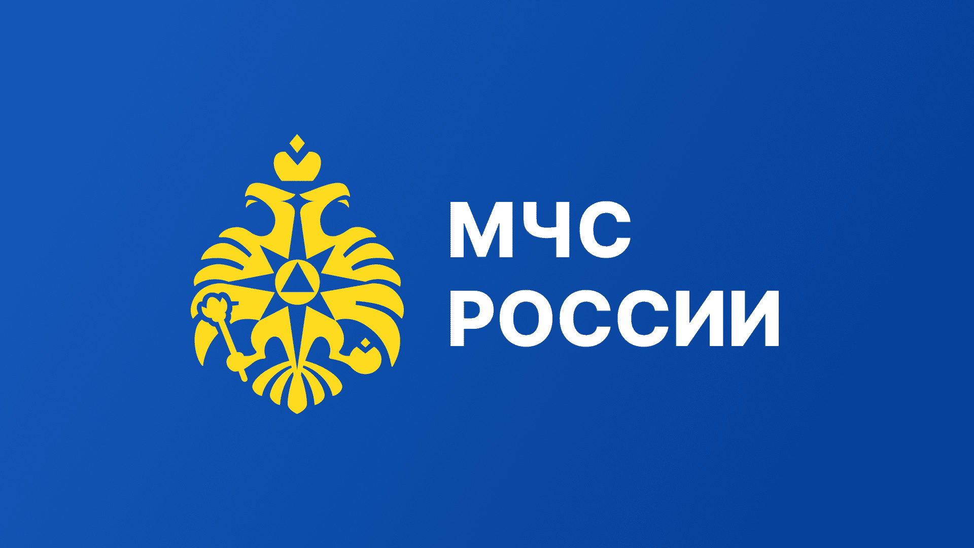 ВУЗы МЧС России.